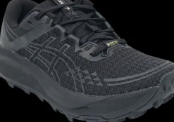 Asics Gel-Trabuco 13 GTX black/graphite grey