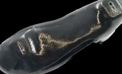Bont Cheetah Zwart Schaatssteek
