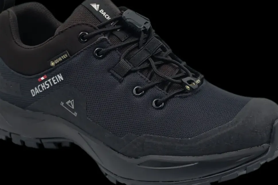 Dachstein Delta peak gtx wmn black