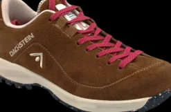 Dachstein Sinabell WMN 1925 brown