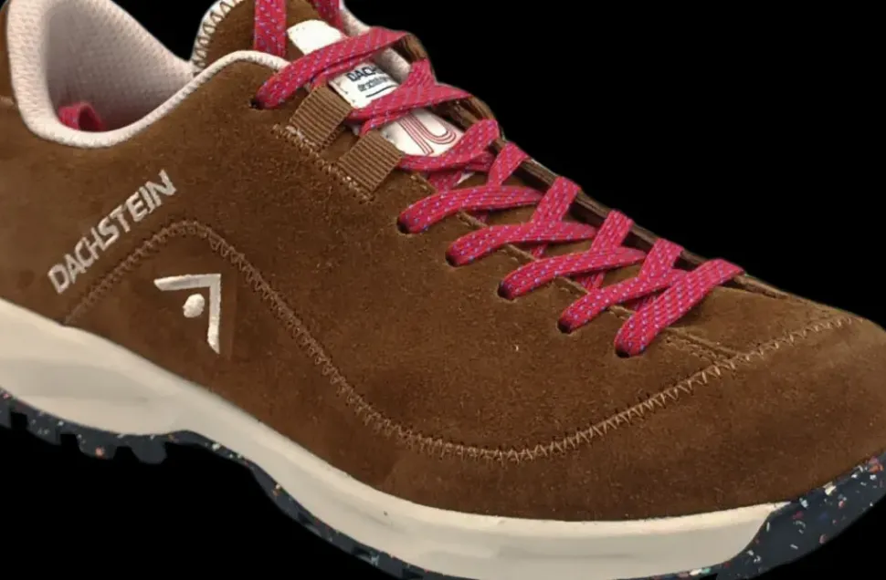 Dachstein Sinabell WMN 1925 brown