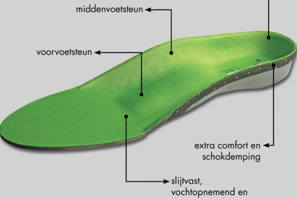 Mysole Special Anatomical inleg zool