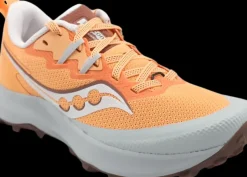 Saucony Peregrine 14 flax/clove jaune