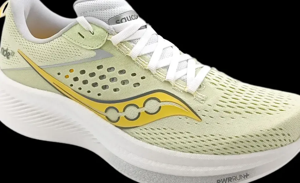 Saucony Ride 17 fern/cloud vert clair