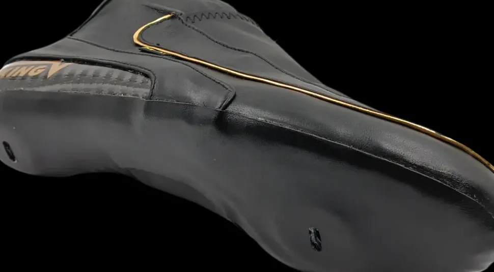 Viking Gold 5.1