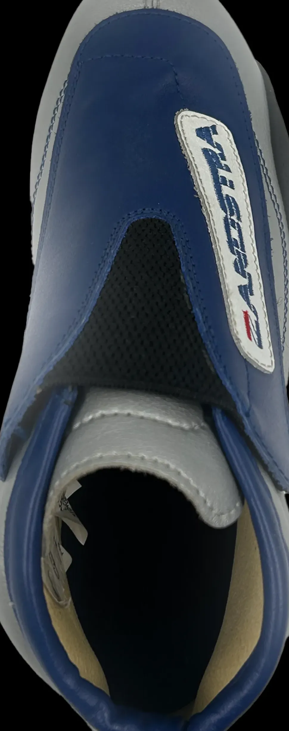 Zandstra Carbon Pro